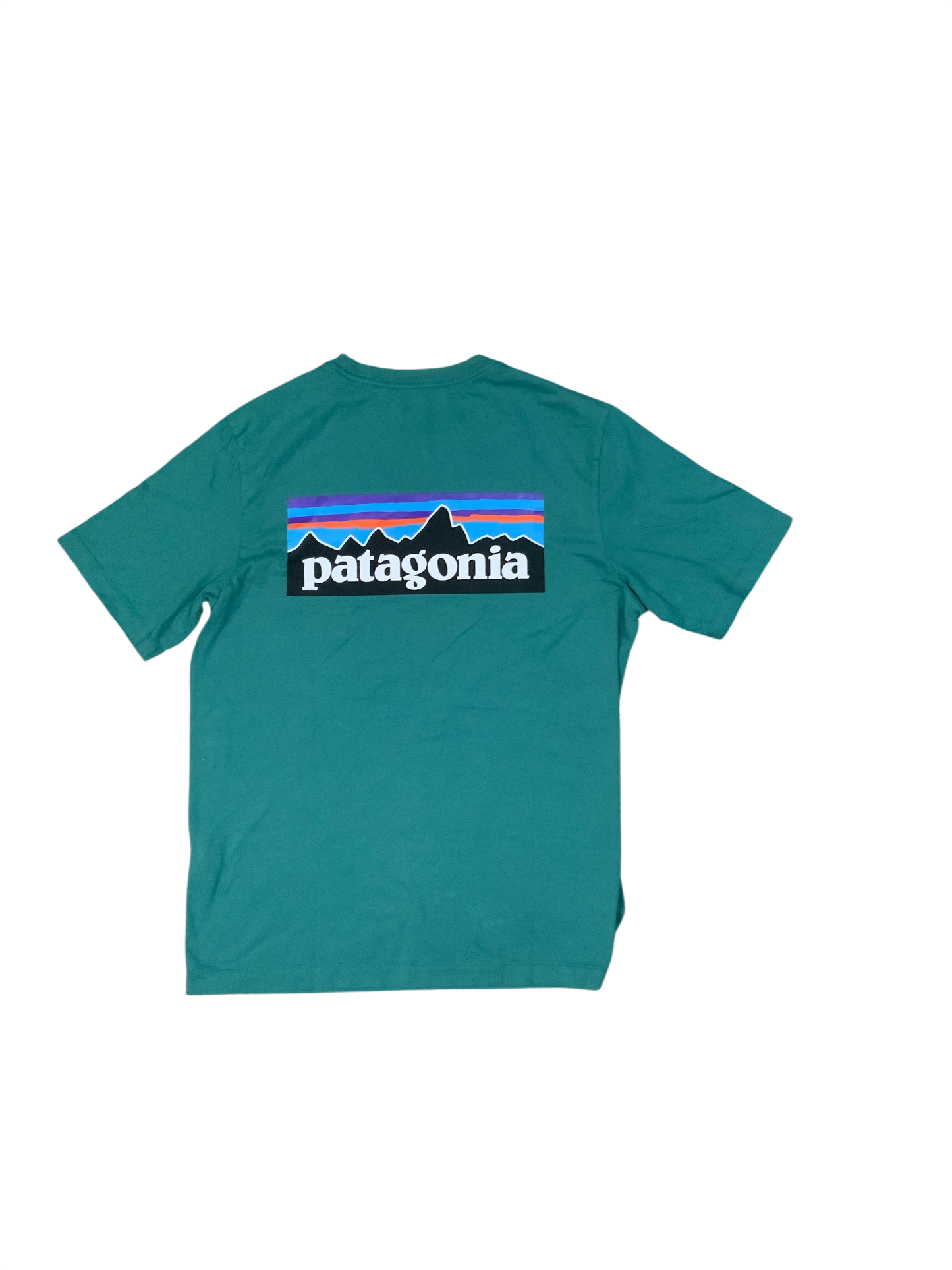 Patagonia P-6 Logo Responsibili-Tee Graphic T-Shirt